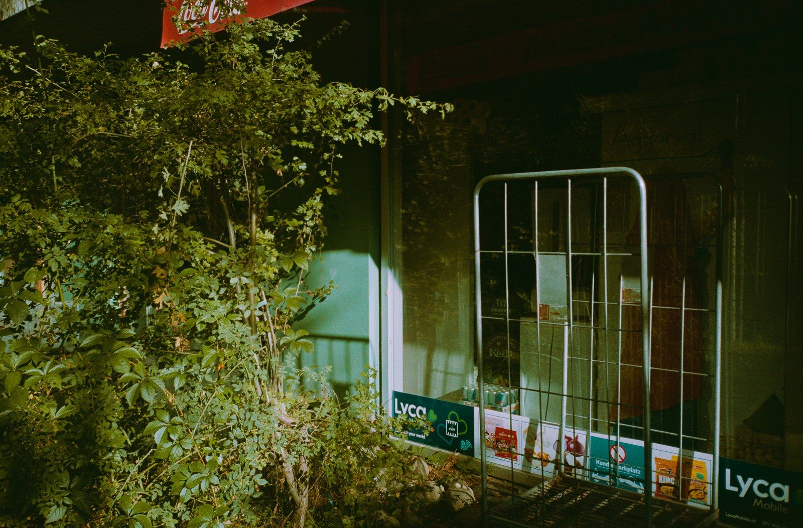 Community photo